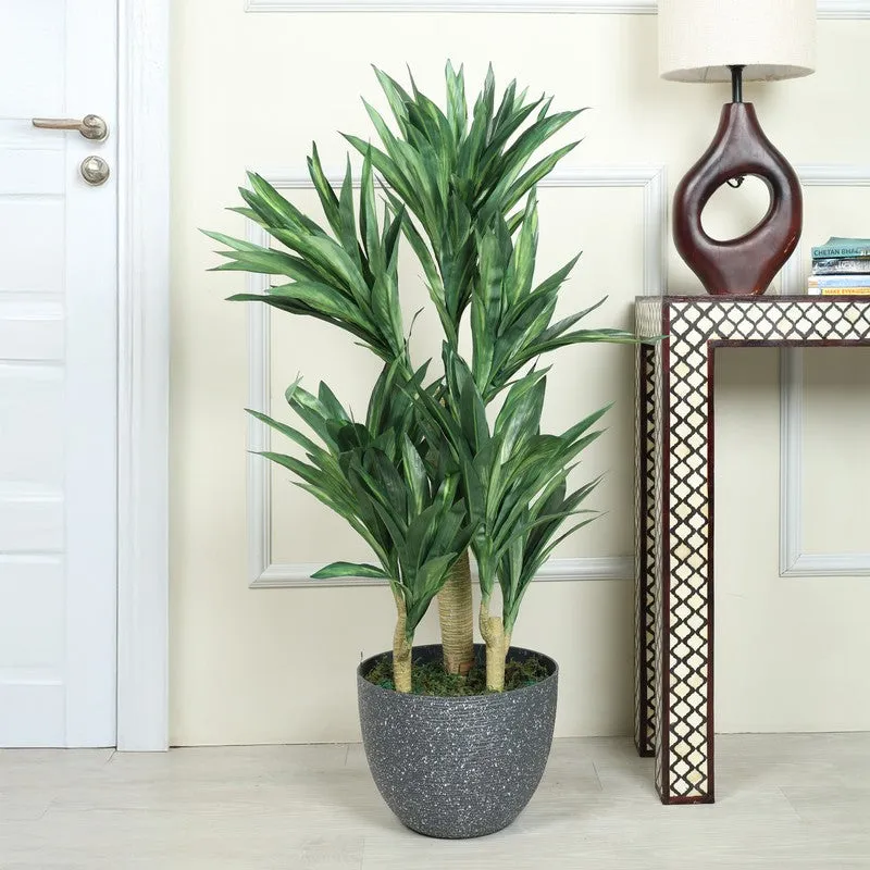Artificial Green Dracaena Plant Without Pot - 4.2 Feet media 3