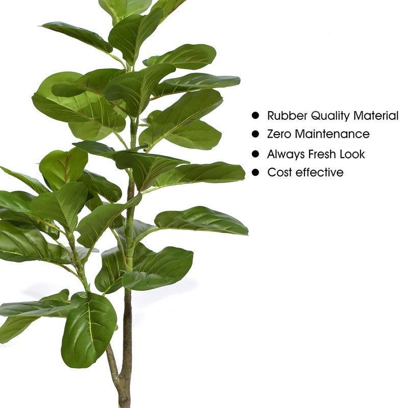 Leafsy Artificial Fiddle Fig Plant With Black Plastic Pot - 2.5 Feet media 4