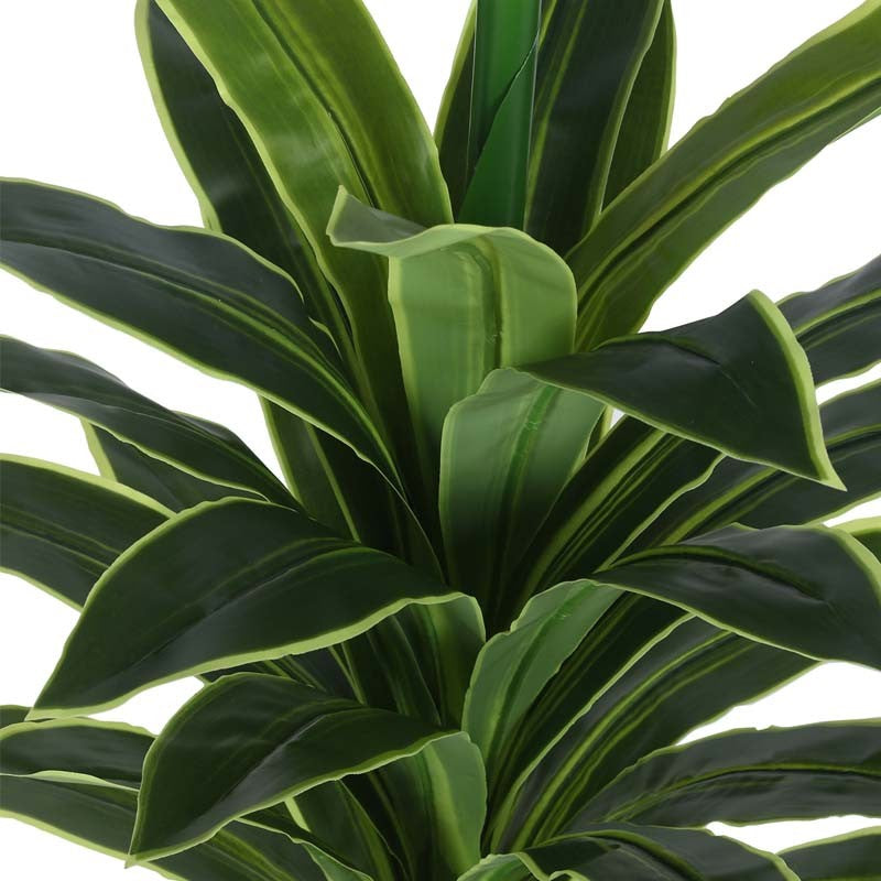 Faux Lush Dracaena Reflexa Plant With Black Plastic Pot -  2.8 Feet media 5