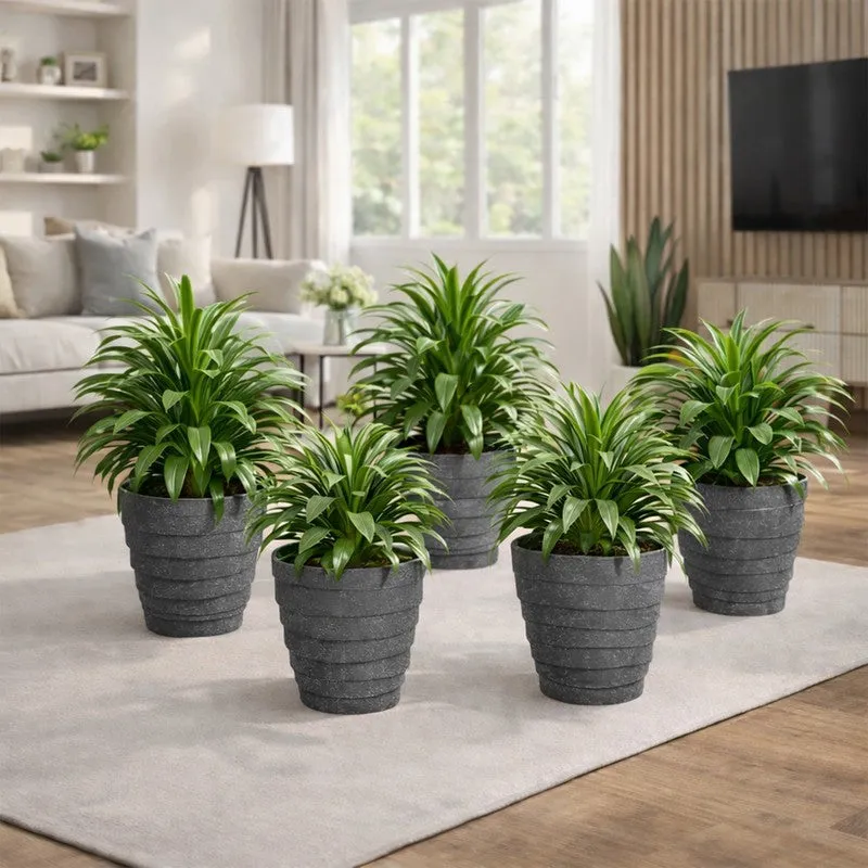 Velora Planters (Grey) - Set Of Five media 2