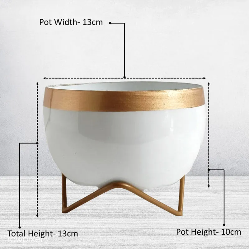 Attva Metal Planter With Stand - White media 8