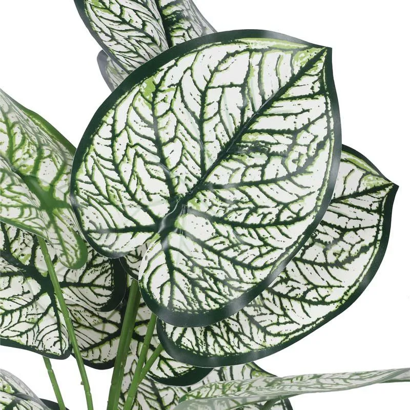 Faux Lush White Dubia Monstera Plant With Black Plastic Pot - 1.8 Feet media 4