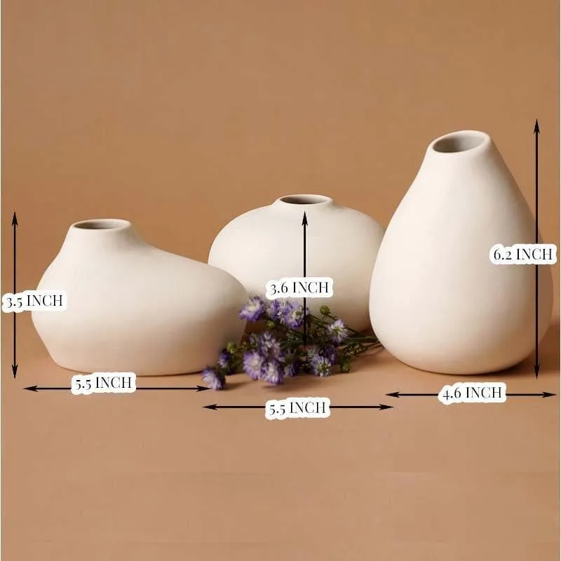 Esoteric Vases (White) - Set of Three media 4