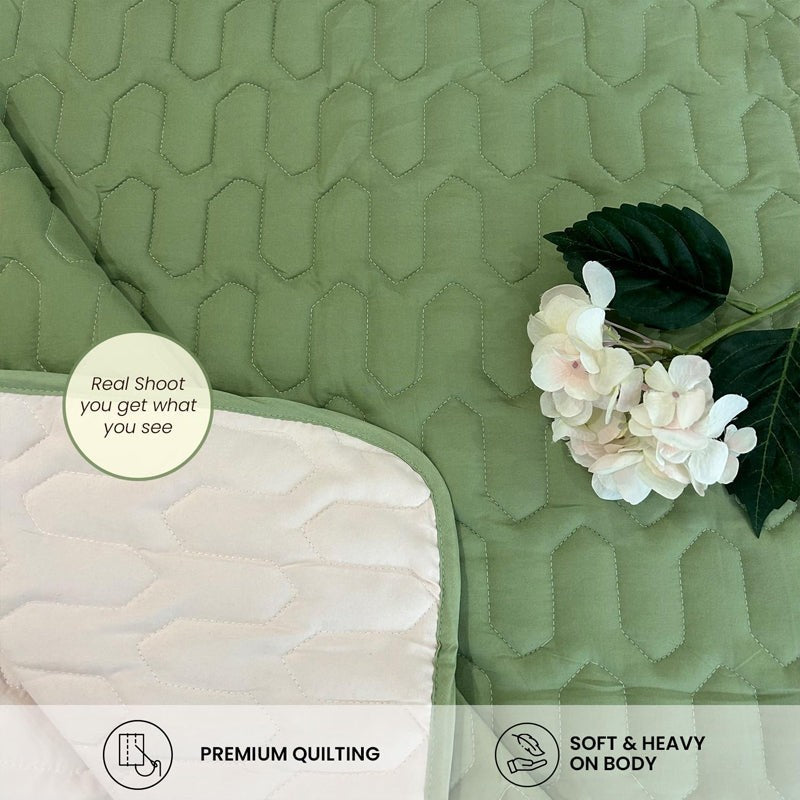 Urban Space Quilted Reversible Microfiber comforter (Sage Green) - 200 GSM media 6
