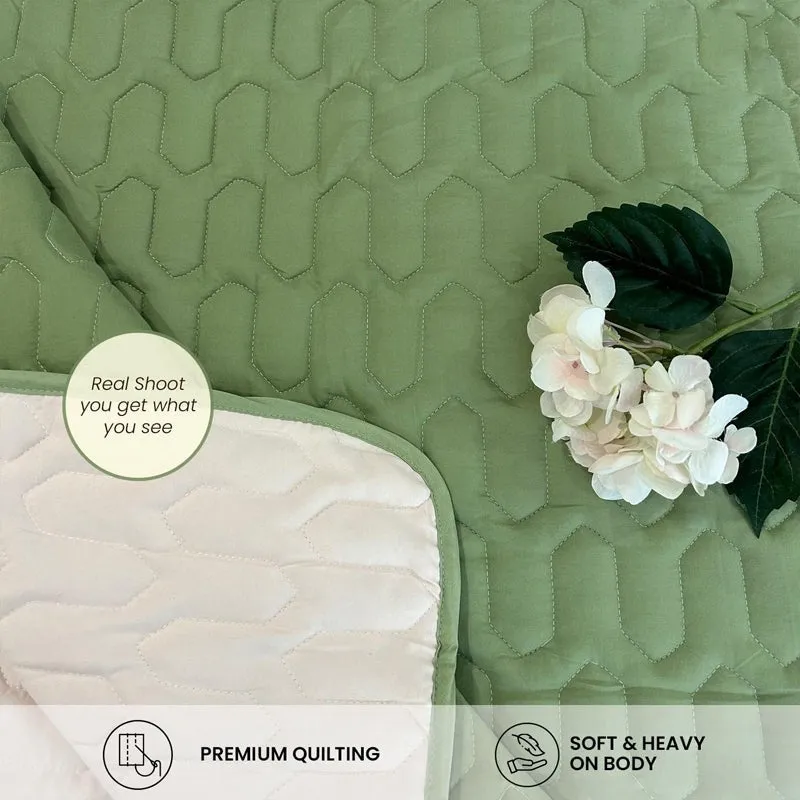 Urban Space Quilted Reversible Microfiber comforter (Sage Green) - 200 GSM media 6