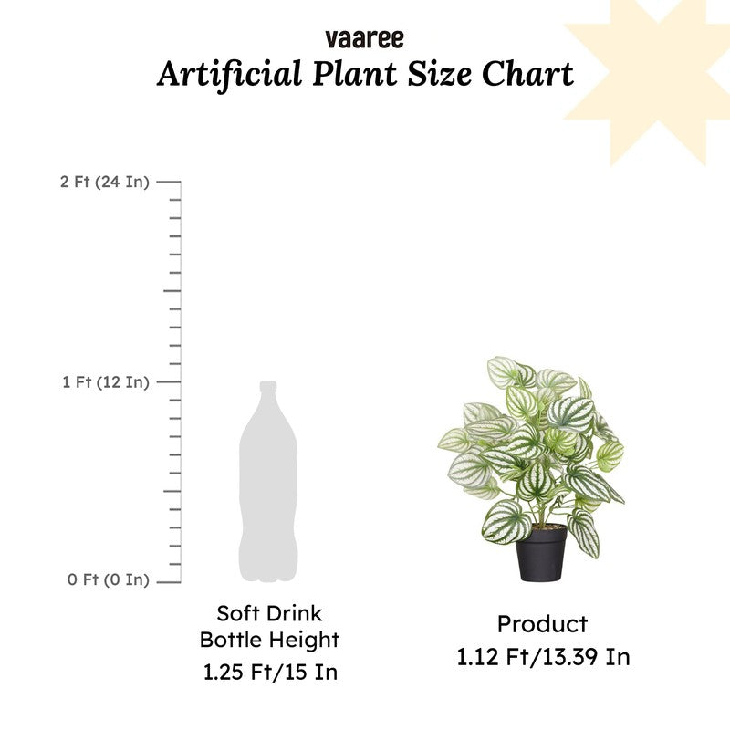 Artificial Watermelon Peperomia Plant With Black Fiber Pot - 1 Feet media 7
