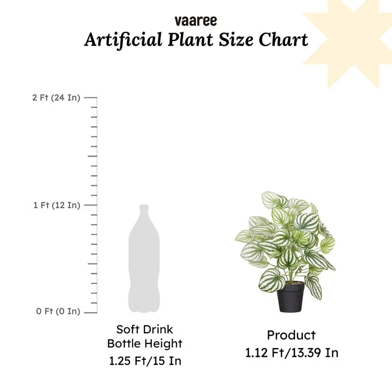 Artificial Watermelon Peperomia Plant With Black Fiber Pot - 1 Feet media 7