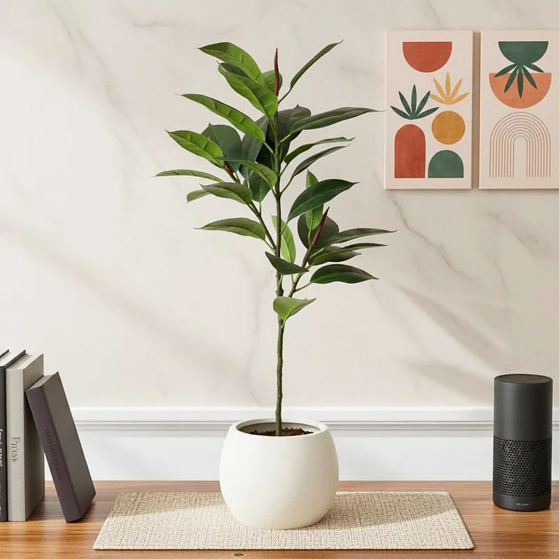 CasaBloom Artificial Rubber Plant With Black Plastic Pot - 2.5 Feet media 1