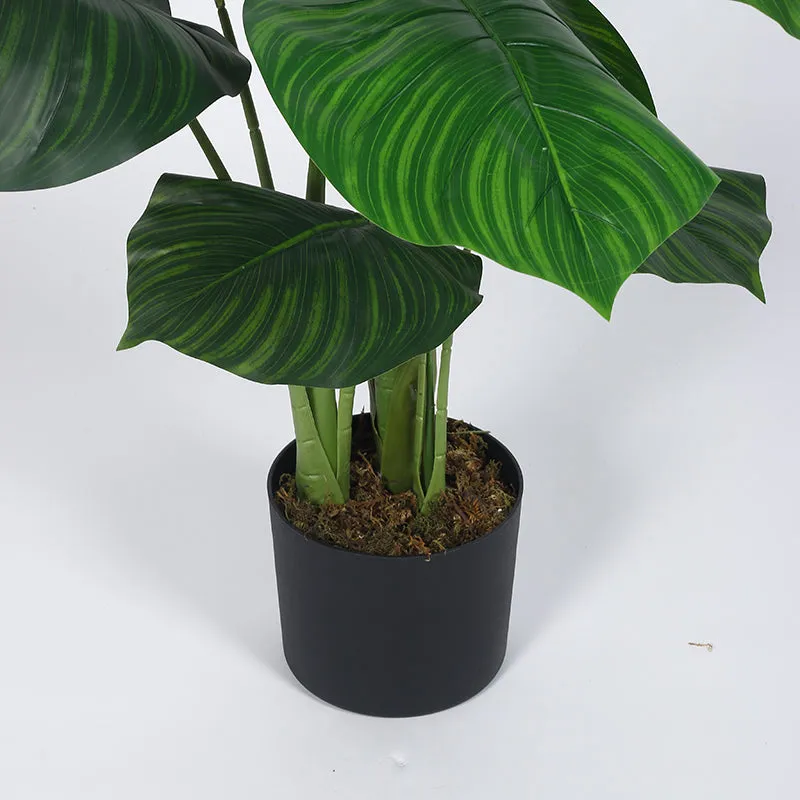 Verona Artificial Banana Plant With Black Plastic Pot - 4 Feet media 5