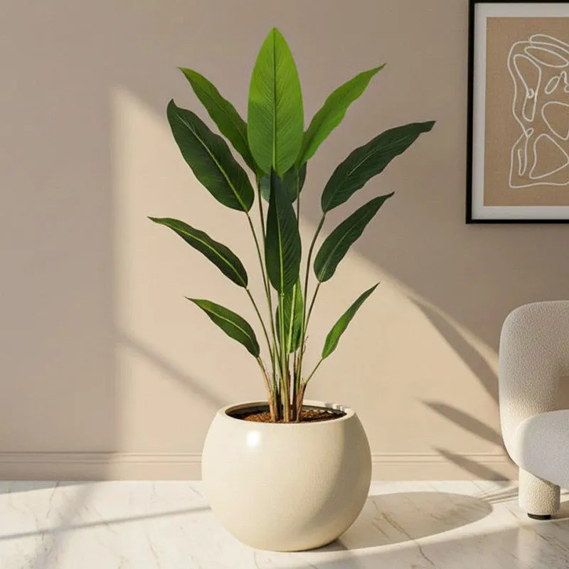 Artificial Strelitzia Plant With Black Fiber Pot - 3.9 Feet media 1