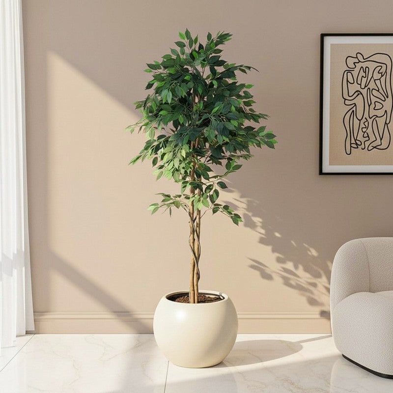 Jadelle Artificial Ficus With Black Plastic Pot - 6 Feet