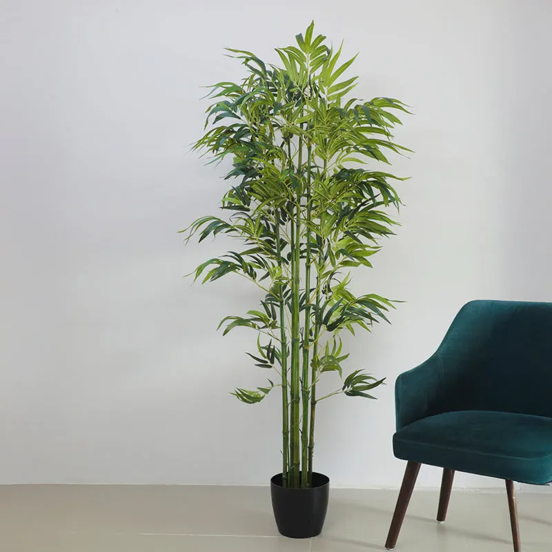 Reed Artificial Bamboo With Black Plastic Pot - 6.3 Feet media 3