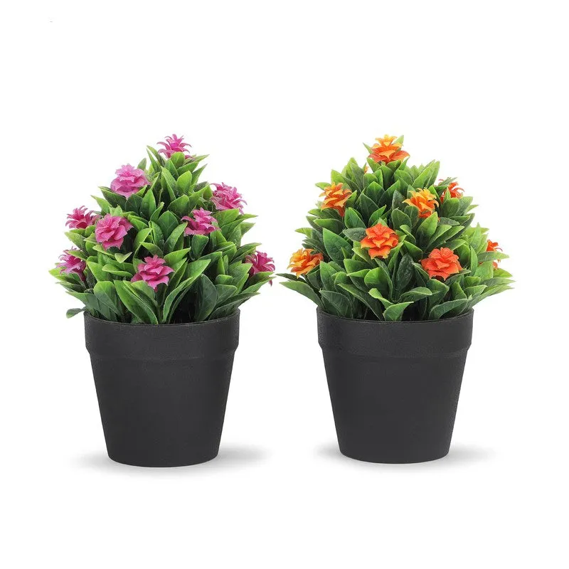 Ethnora Artificial Plant With Plastic Pot(Set of Two) - 0.6 Feet media 3