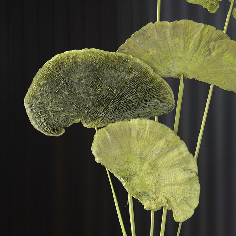 Jungle Weave Green Sponge Stick - Set Of Ten media 4