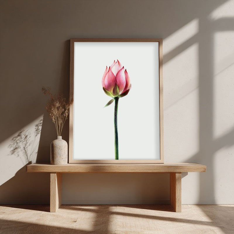 Painted Lotus Bud Archival Paper Wall Art - Natural Brown Frame