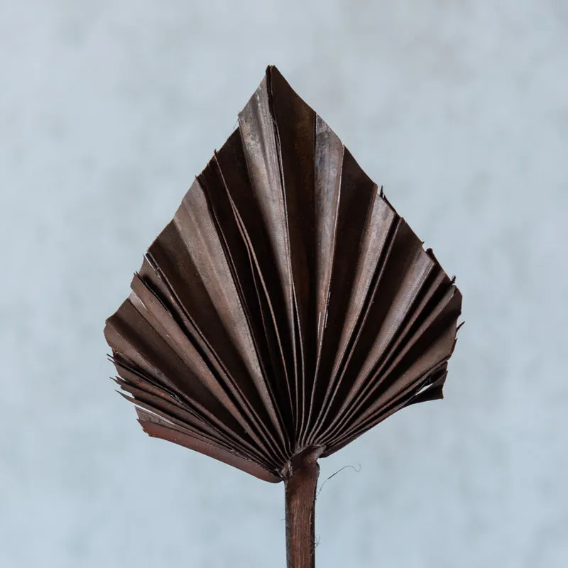 Trovio Naturally Dried Palm Leaf (Brown) - Set Of Five media 3