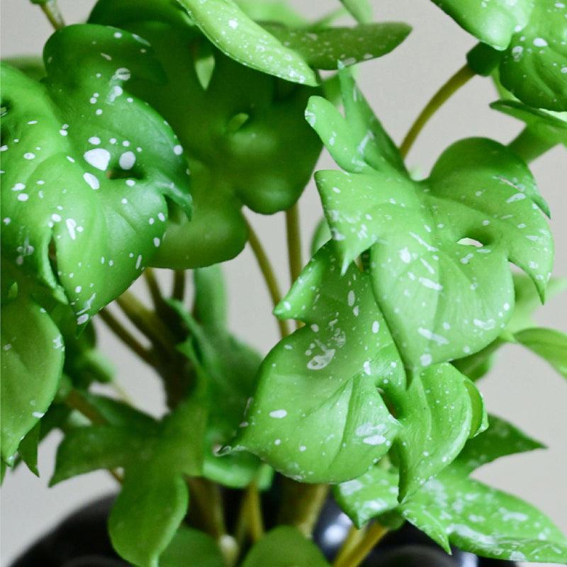 Minstera Artificial Mini Monstera Plant With Black Plastic Pot (Light Green) - 16 cm media 4