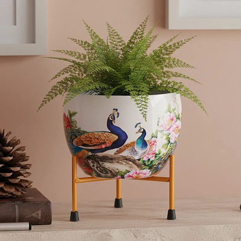 Peacock Pride Pots & Planters media 9