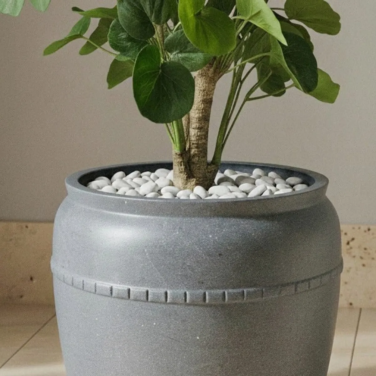 Close-up of a leafy plant displayed in the grey planter with white pebbles