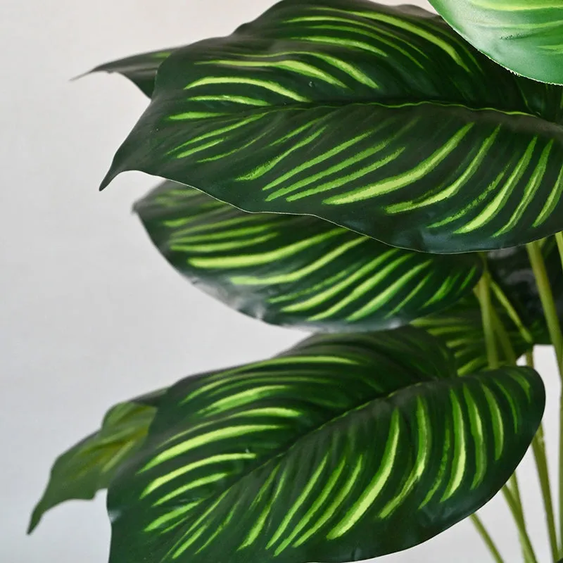Faux Everlasting Alocasia Plant With Black Plastic Pot - 74 cm (2.4 ft) media 5