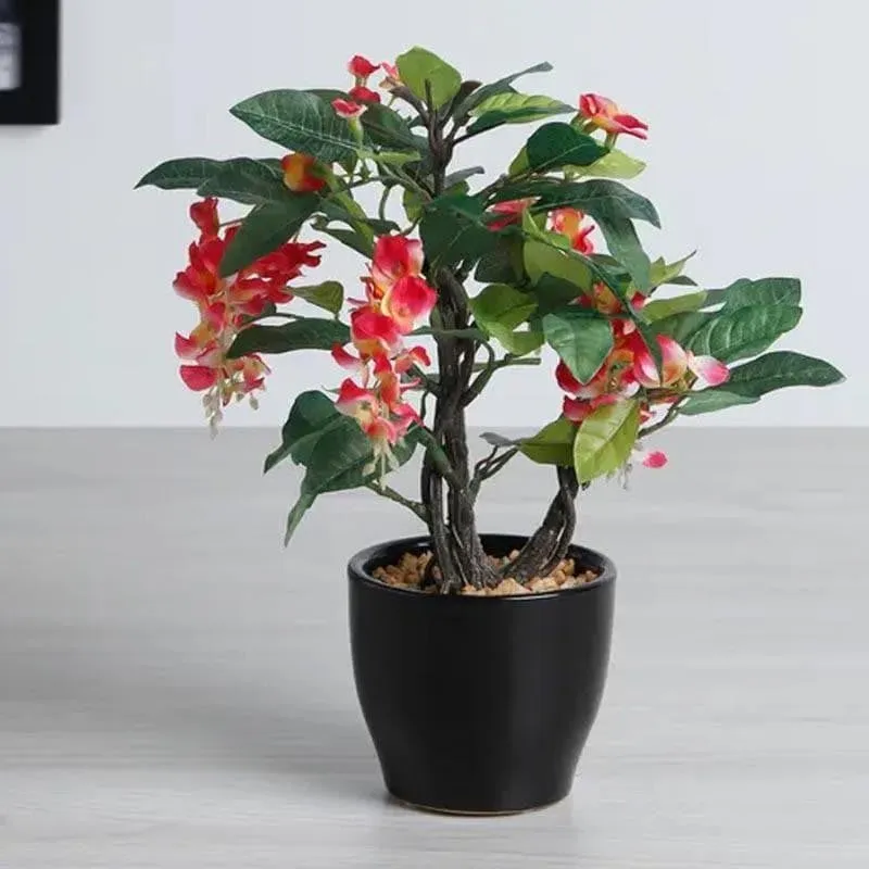 Faux Wisteria Bonsai In Ceramic Pot (25 cms) - Pink media 1