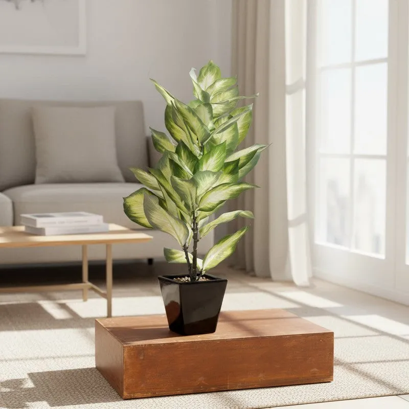 EverLeaf Artificial Plant With Black Fiber Pot - 2 Feet media 4