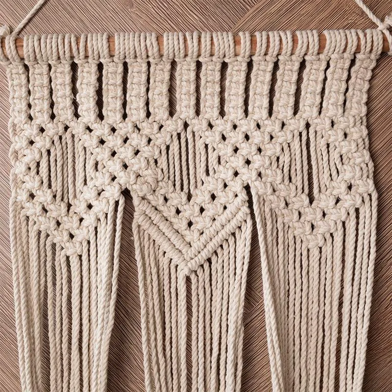 Zuri Macrame Planter media 5