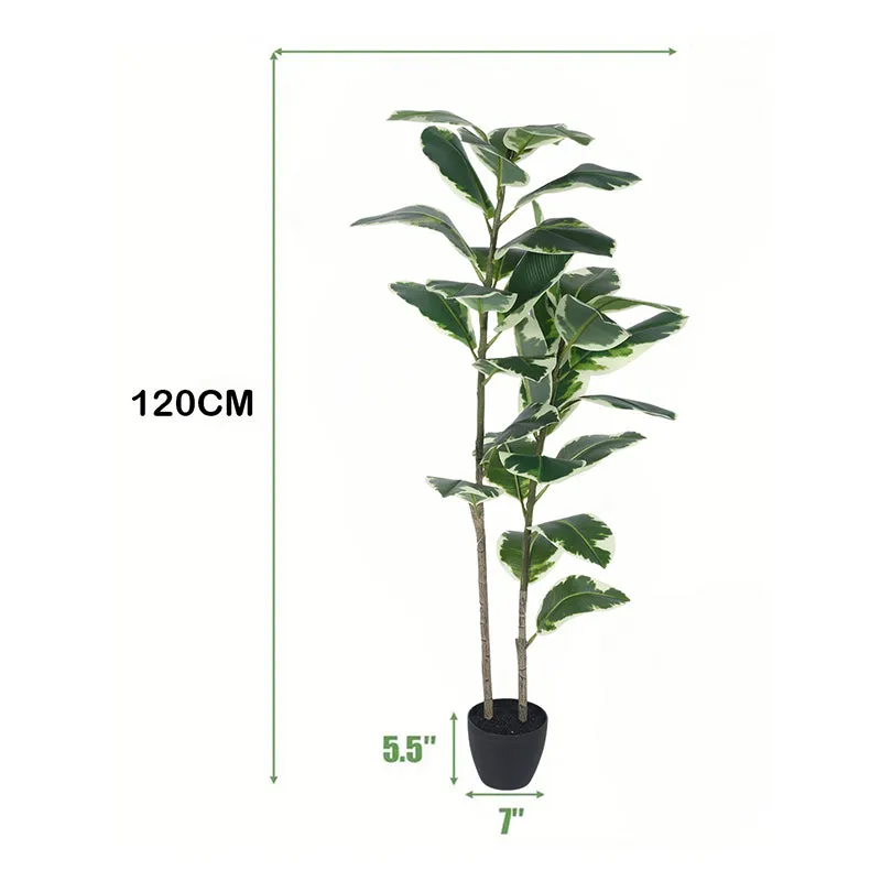 Arvore Artificial Rubber Plant With Black Plastic Pot - 4 Feet media 6