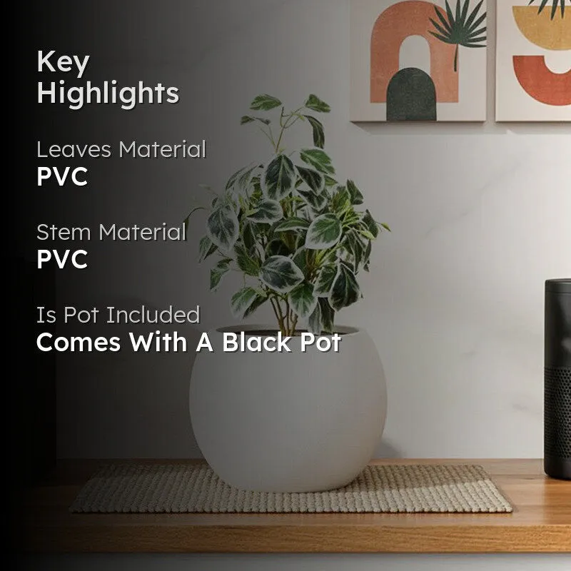 Artificial Pearls & Jade Pothos Plant With Black Fiber Pot - 1 Feet media 2