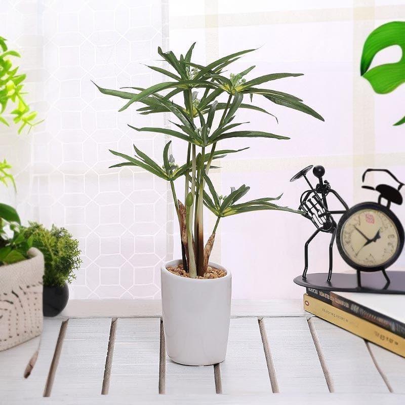 Faux Cyperus Bonsai In Ceramic Pot - 38 cms