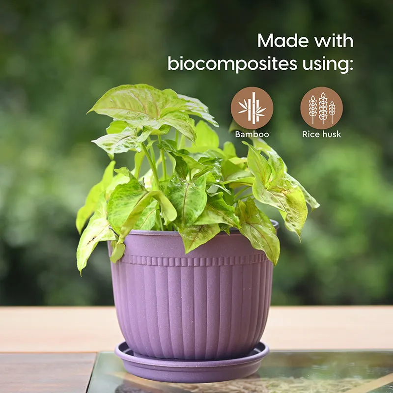 Vita Vessel Planter - Set Of Six media 4