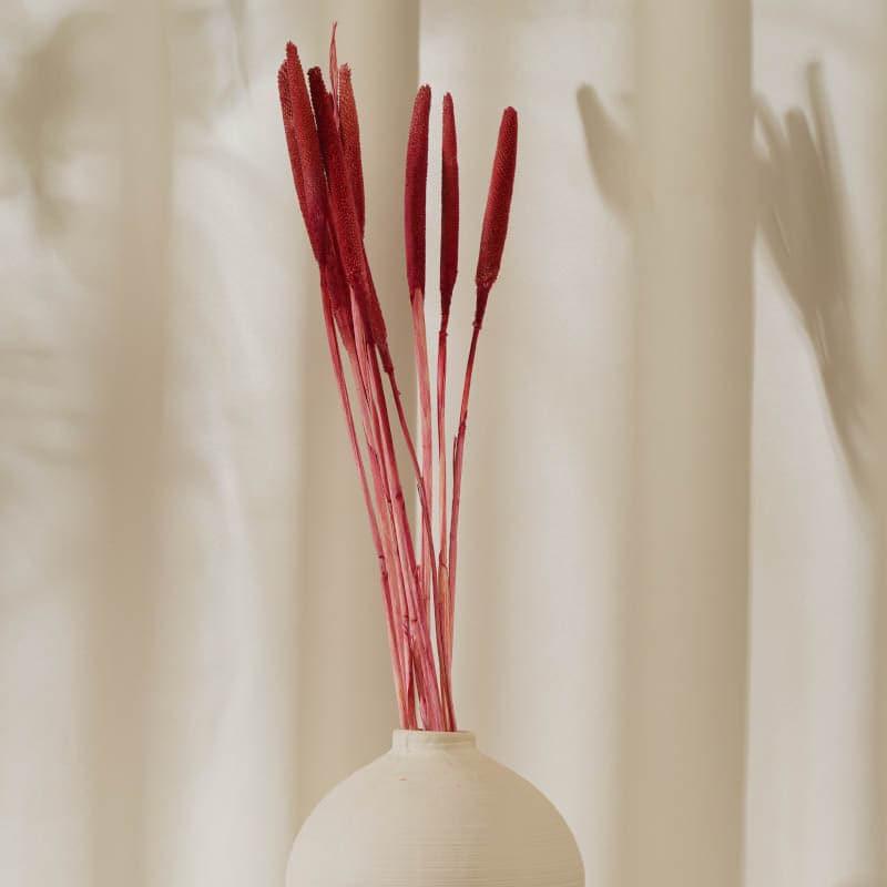 Natural Fiber
