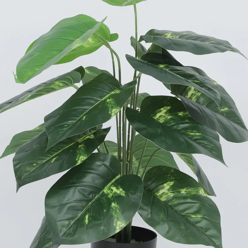 Leaf Line Artificial Plant With Black Plastic Pot - 2.5 Feet media 5