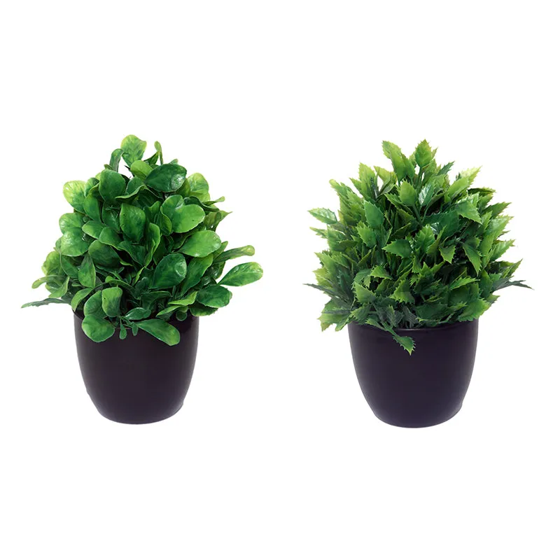 Faux Shamrock Leaf Plant With Black Plastic Pot - Set Of Two media 3