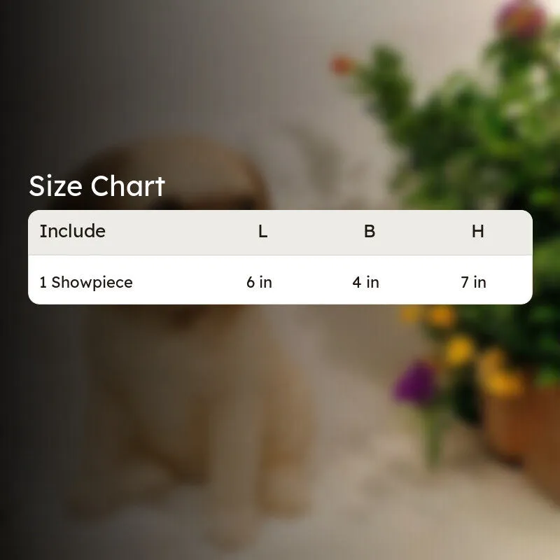 Cutie Pug Showpiece media 5