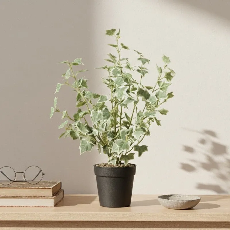 Artificial Frosted Ivy Plant With Black Fiber Pot - 1.4 Feet media 5