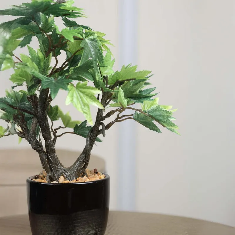 Artificial Green Maple Bonsai Plant With Ceramic Pot - 0.8 Feet media 3