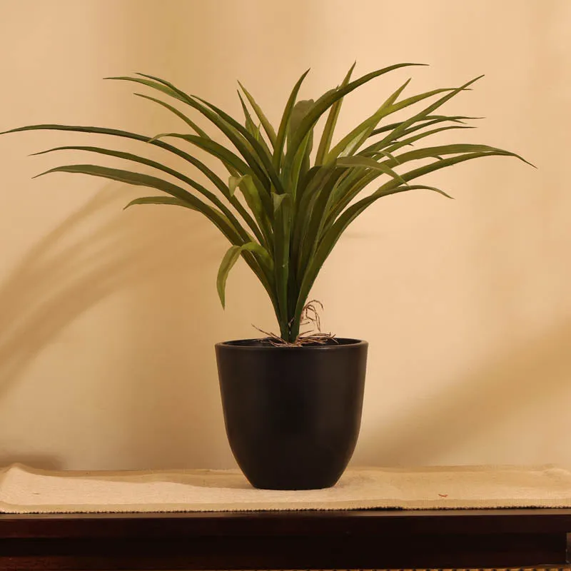 Artificial Dracaena Plant With Black Plastic Pot - 1 Feet media 2