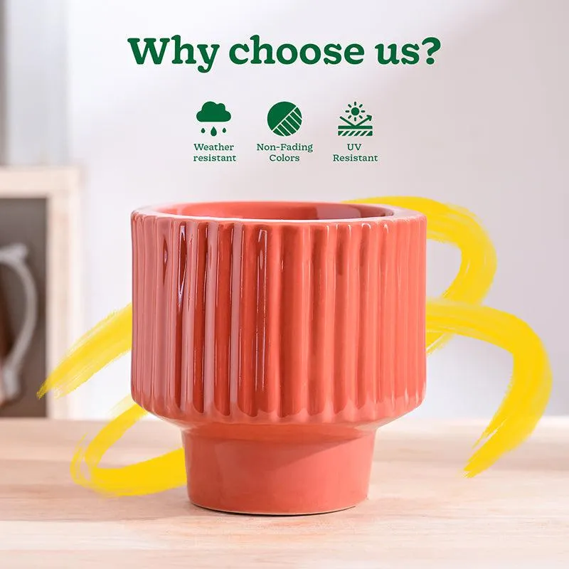 Ugaoo Classic Stria Ceramic Planter - Coral media 6