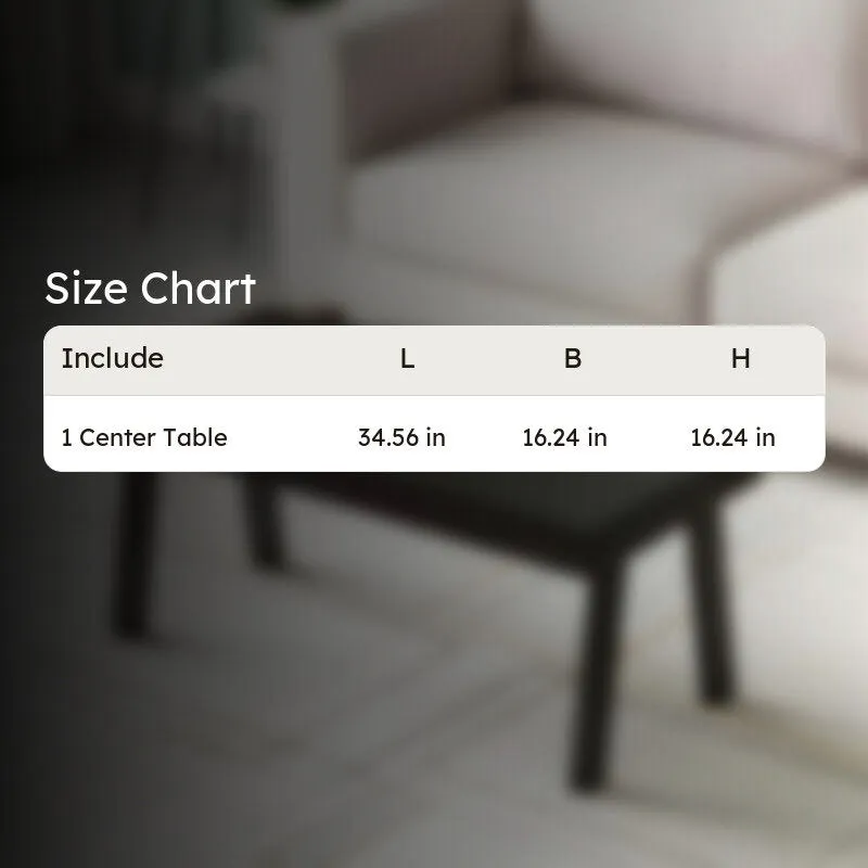 Xavro Sheesham Wooden Center Table - Black media 13