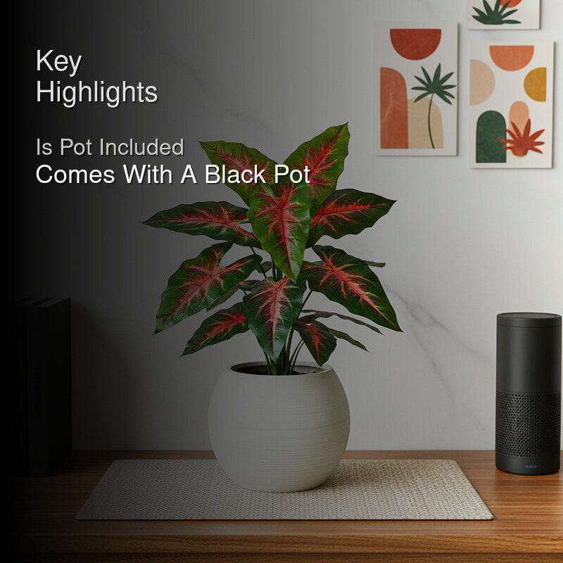 Faux Red Flash Caladium Artificial Plant With Black Plastic Pot - 79 cm (2.6 ft) image 2