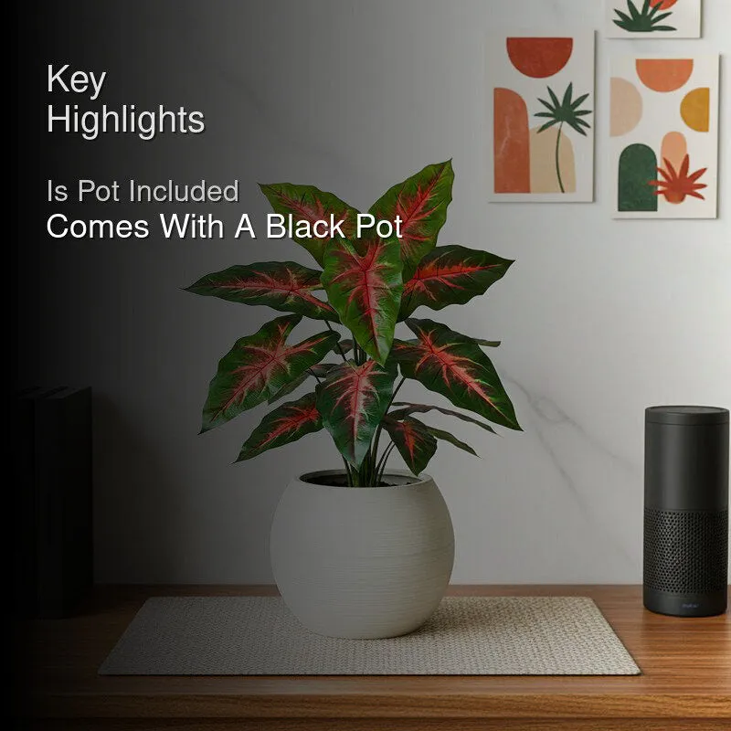 Faux Red Flash Caladium Artificial Plant With Black Plastic Pot - 79 cm (2.6 ft) media 2