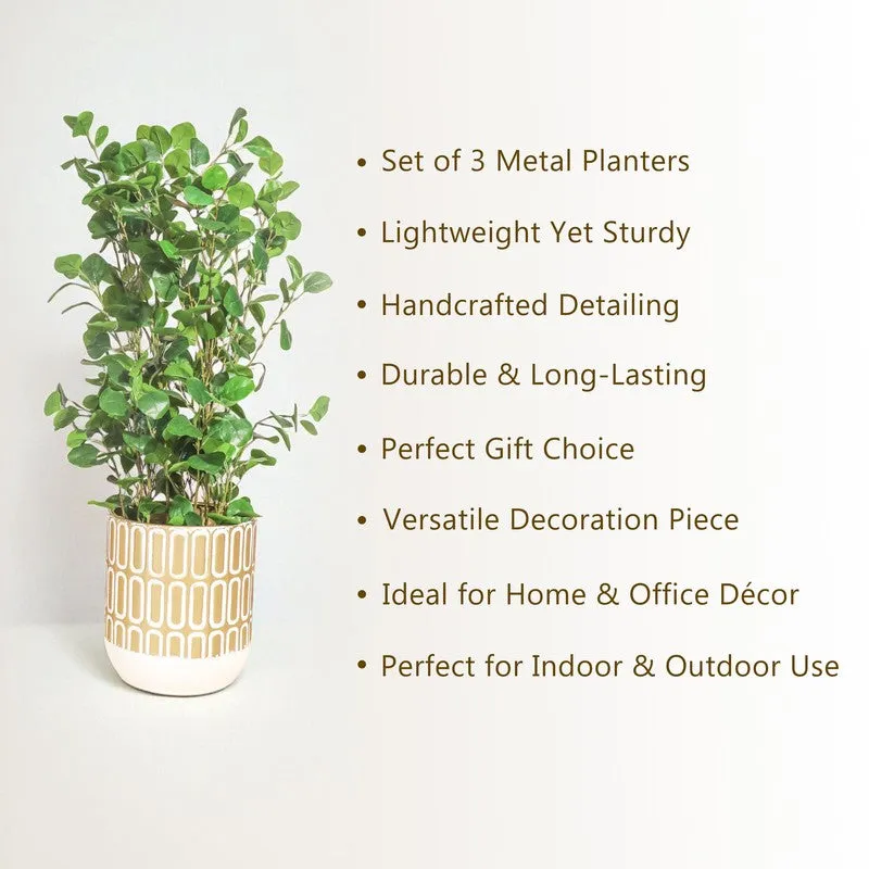Solstice Metal Planters - Set Of Three media 6