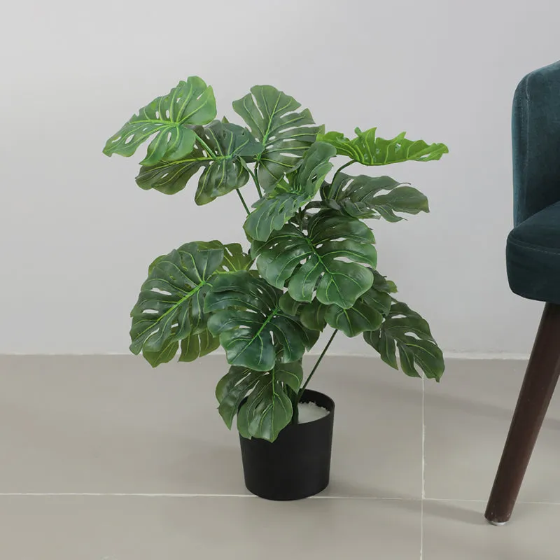 Monala Artificial Monstera With Black Plastic Pot - 2.3 Feet media 3