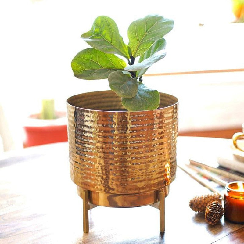 Nicolette Metal Planter - Medium media 3