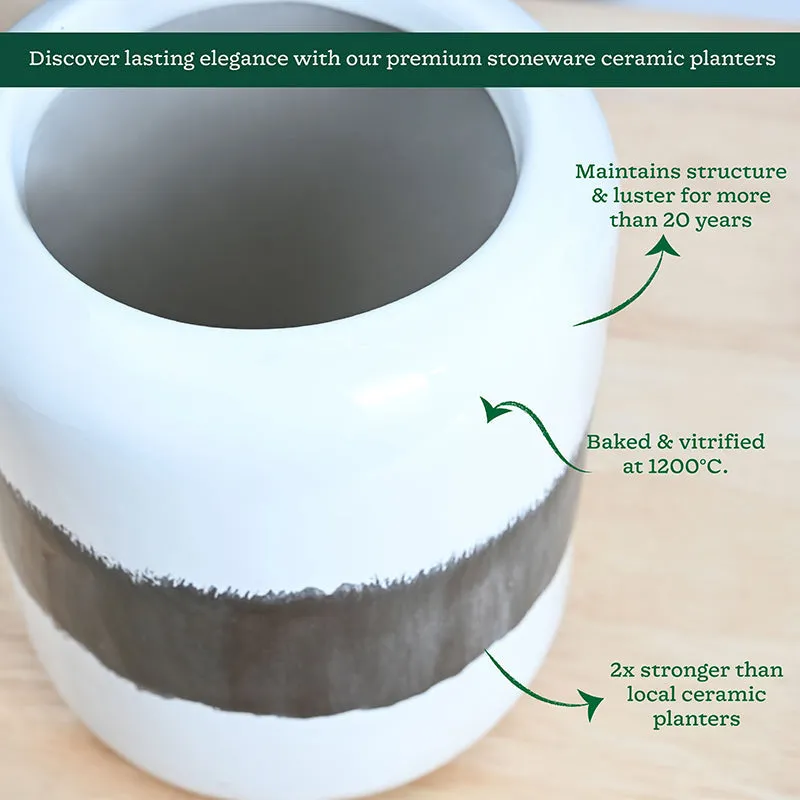 Ugaoo Meadow Mate Ceramic Planter - Black media 5