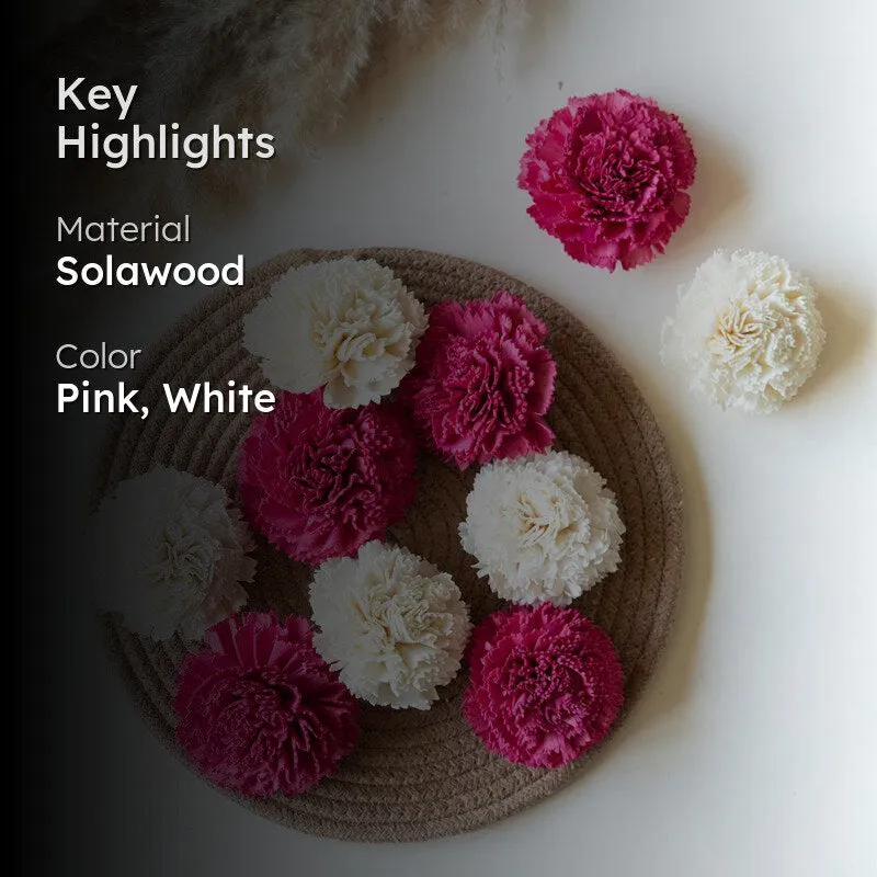Berta Carnation Sola Flower (Pink & White) - Set Of Ten media 2