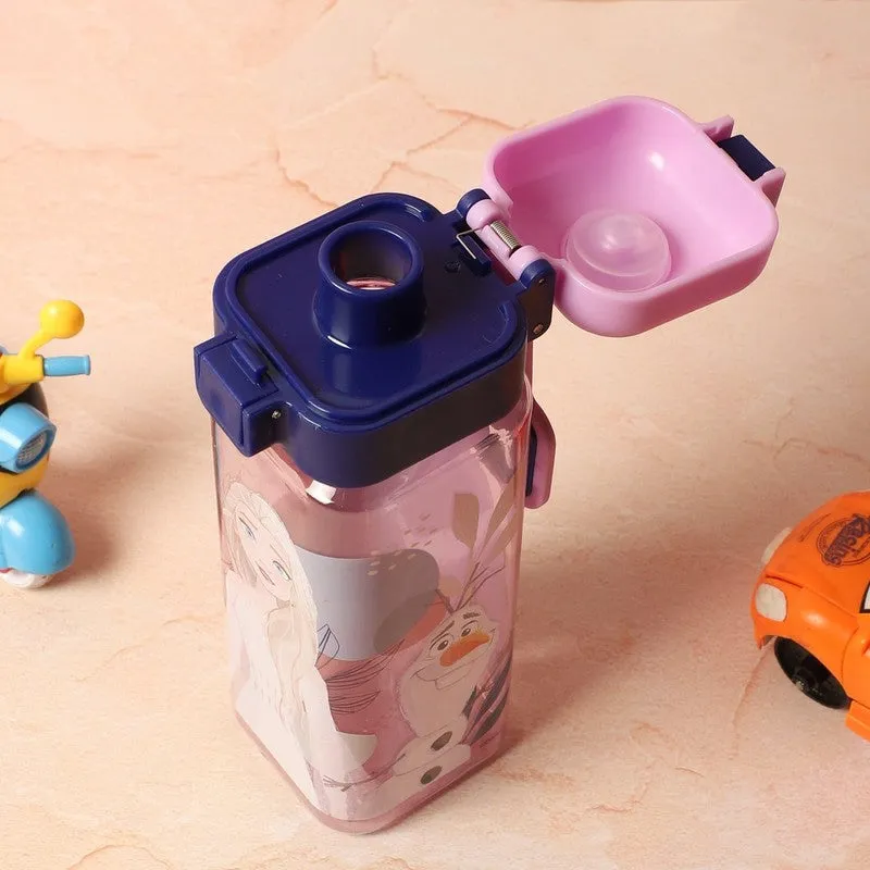 Rosa Frozen Water Bottle - 550 mL media 3