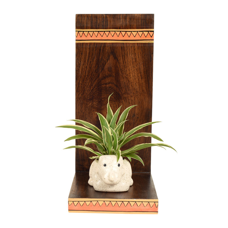 Parvari  Wooden Wall Shelf With Ceramic Planter - Set of Two media 4