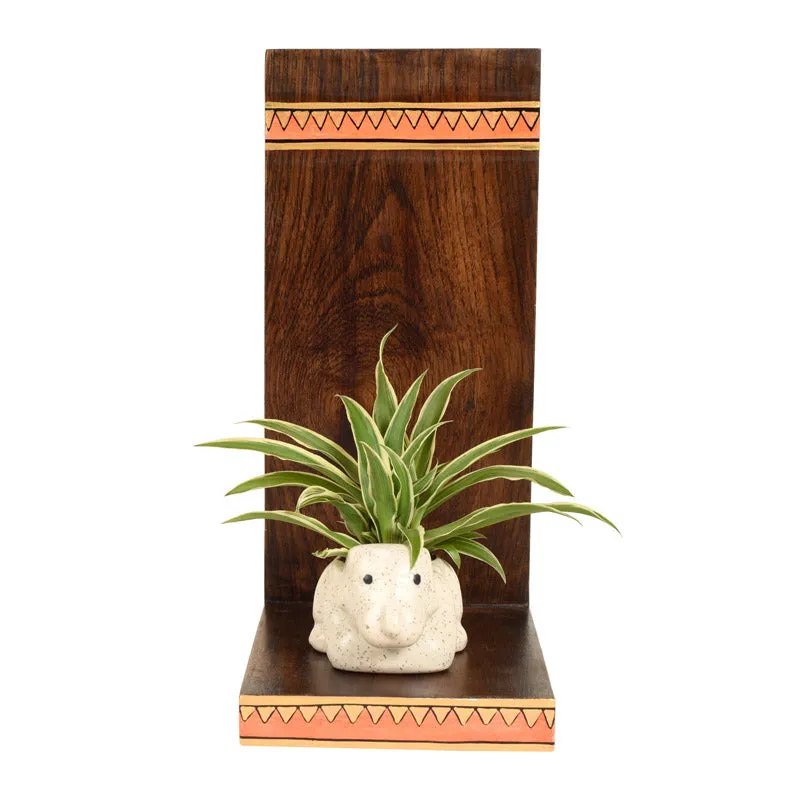 Parvari Wooden Wall Shelf With Ceramic Planter - Set of Two media 4